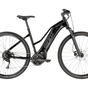 Rower elektryczny Giant Bicycles Roam E+ STA