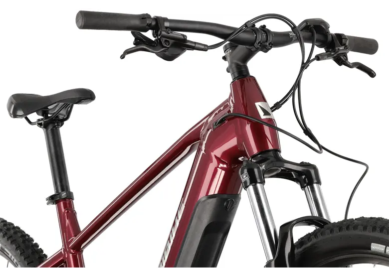 Rower elektryczny HAIBIKE AllTrack 5 29 Cues - obrazek 4