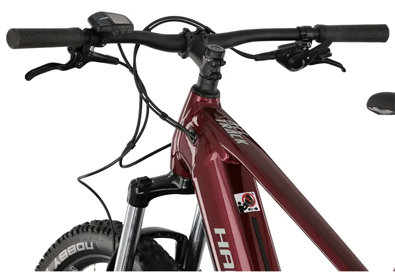 Rower elektryczny HAIBIKE AllTrack 5 29 Cues - obrazek 7